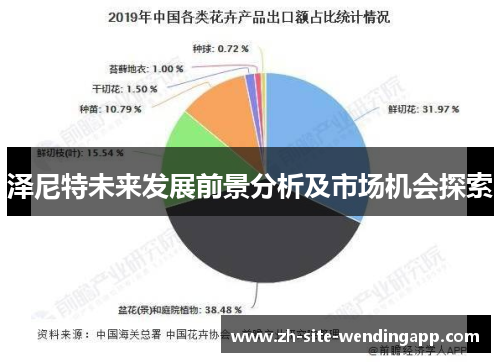 泽尼特未来发展前景分析及市场机会探索