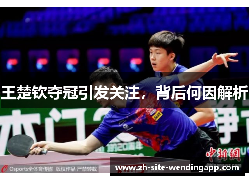 王楚钦夺冠引发关注，背后何因解析