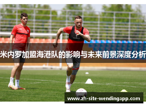 米内罗加盟海港队的影响与未来前景深度分析
