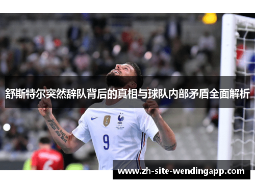 舒斯特尔突然辞队背后的真相与球队内部矛盾全面解析