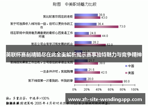 英联杯赛制精髓尽在此全面解析揭示赛事独特魅力与竞争精神