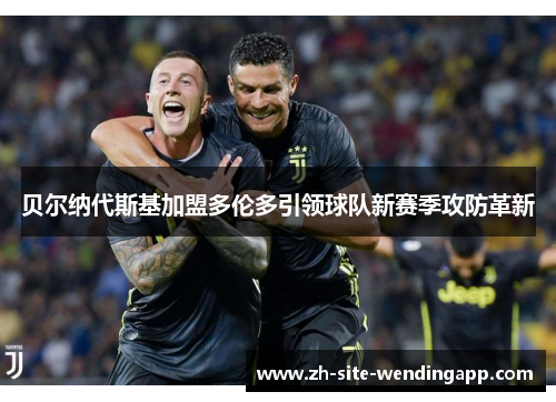 贝尔纳代斯基加盟多伦多引领球队新赛季攻防革新