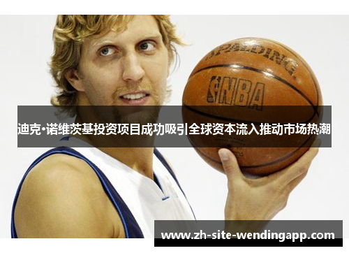 迪克·诺维茨基投资项目成功吸引全球资本流入推动市场热潮